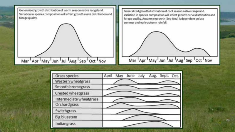 Graphs showing the growth curves of warm-season and cool-season grasses in South Dakota. For an in-depth description of this graphic, please call SDSU Extension at 605-688-6729.