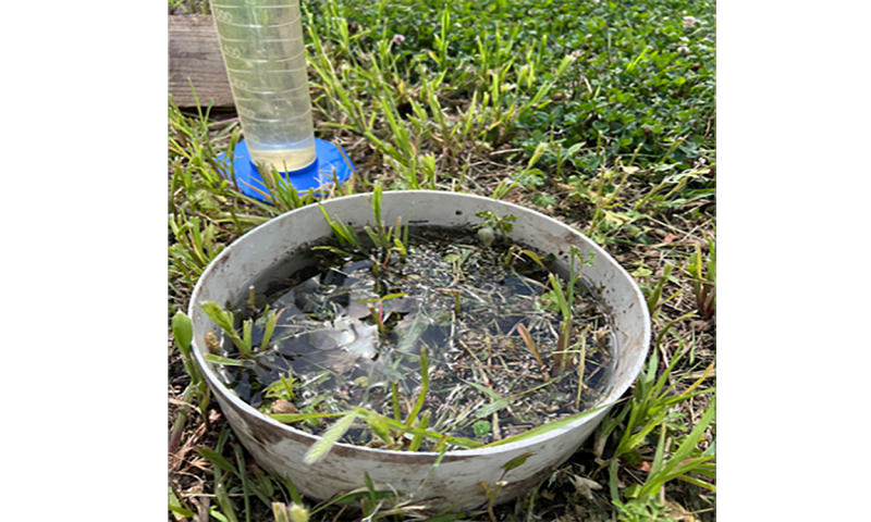 Soil infiltration ring on lawn.