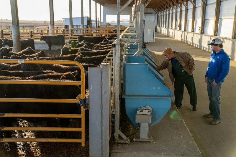 A person standing next to a blue container with cows