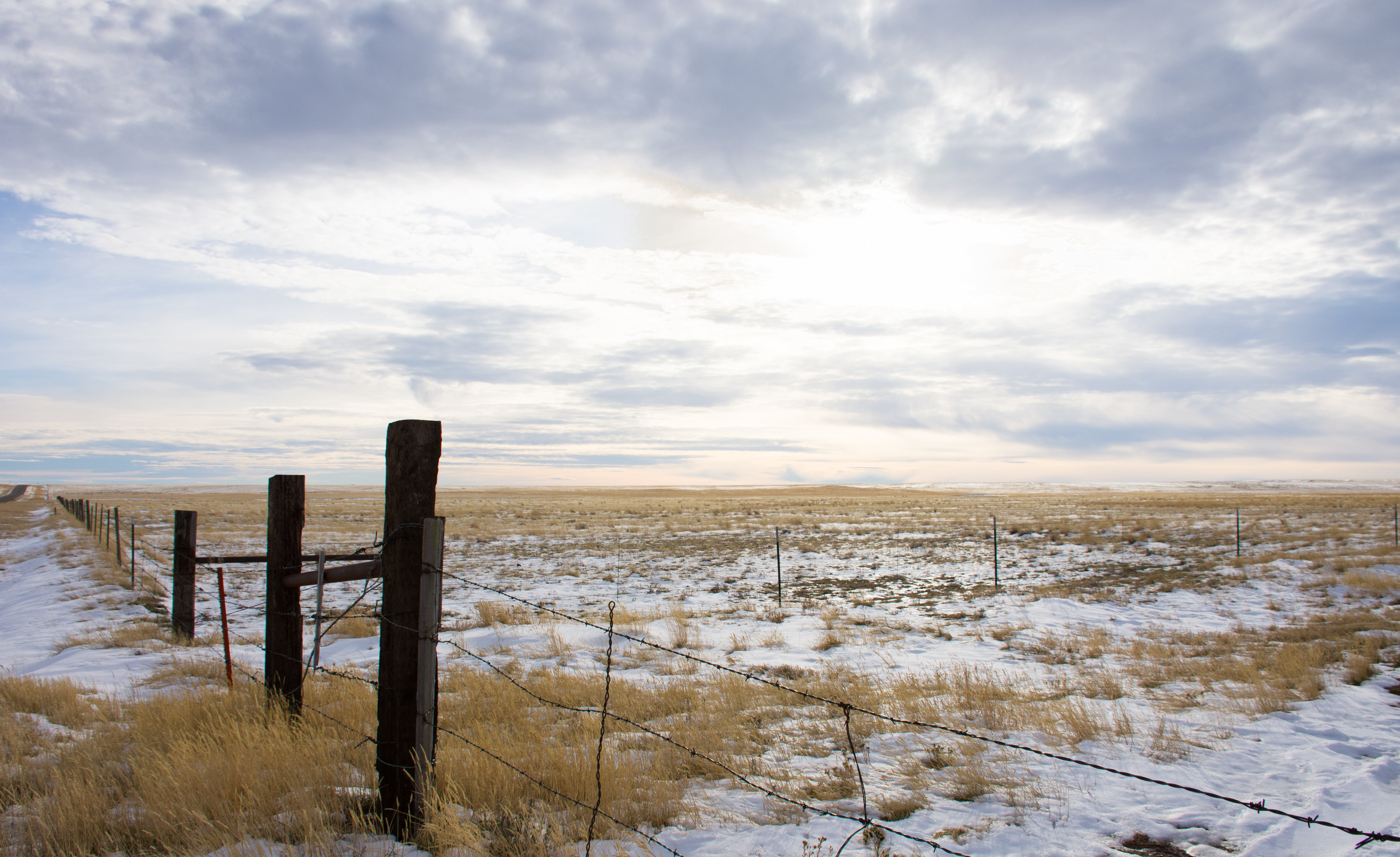 prairie pasture with light snow on the ground