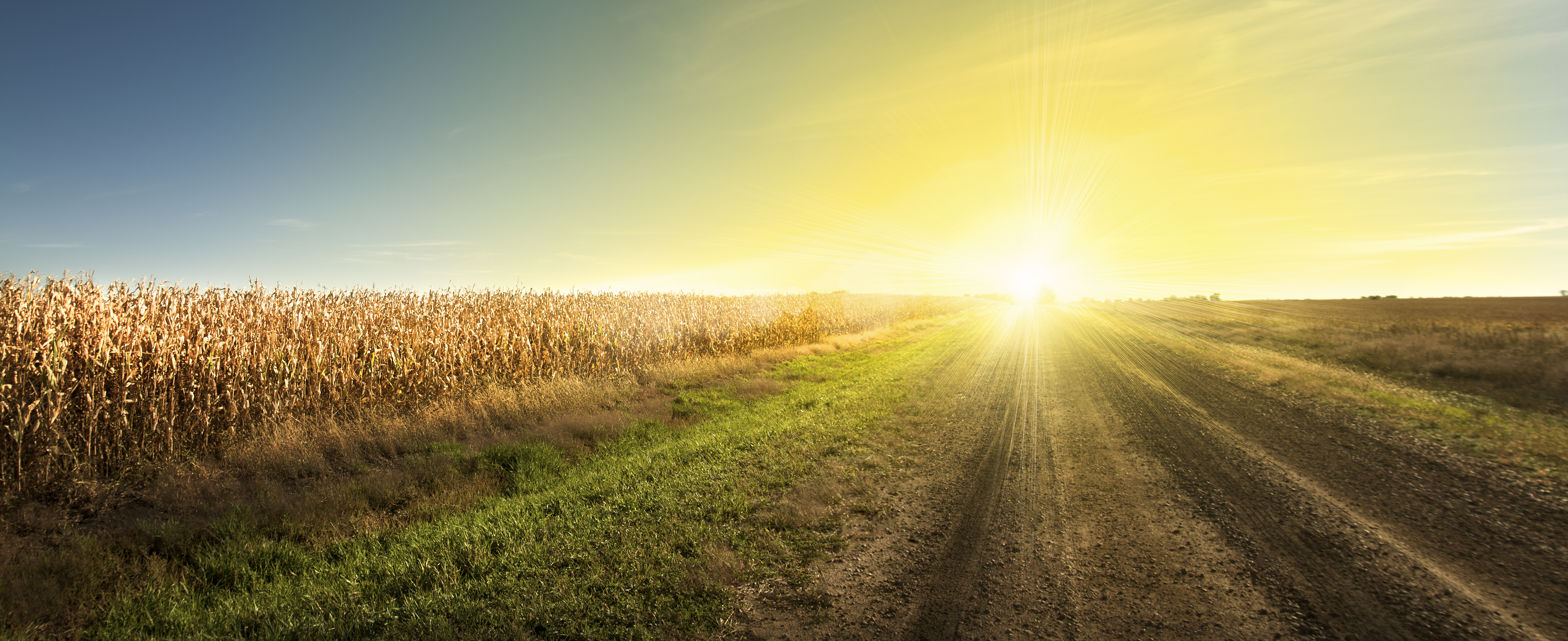 sun rising over South Dakota field