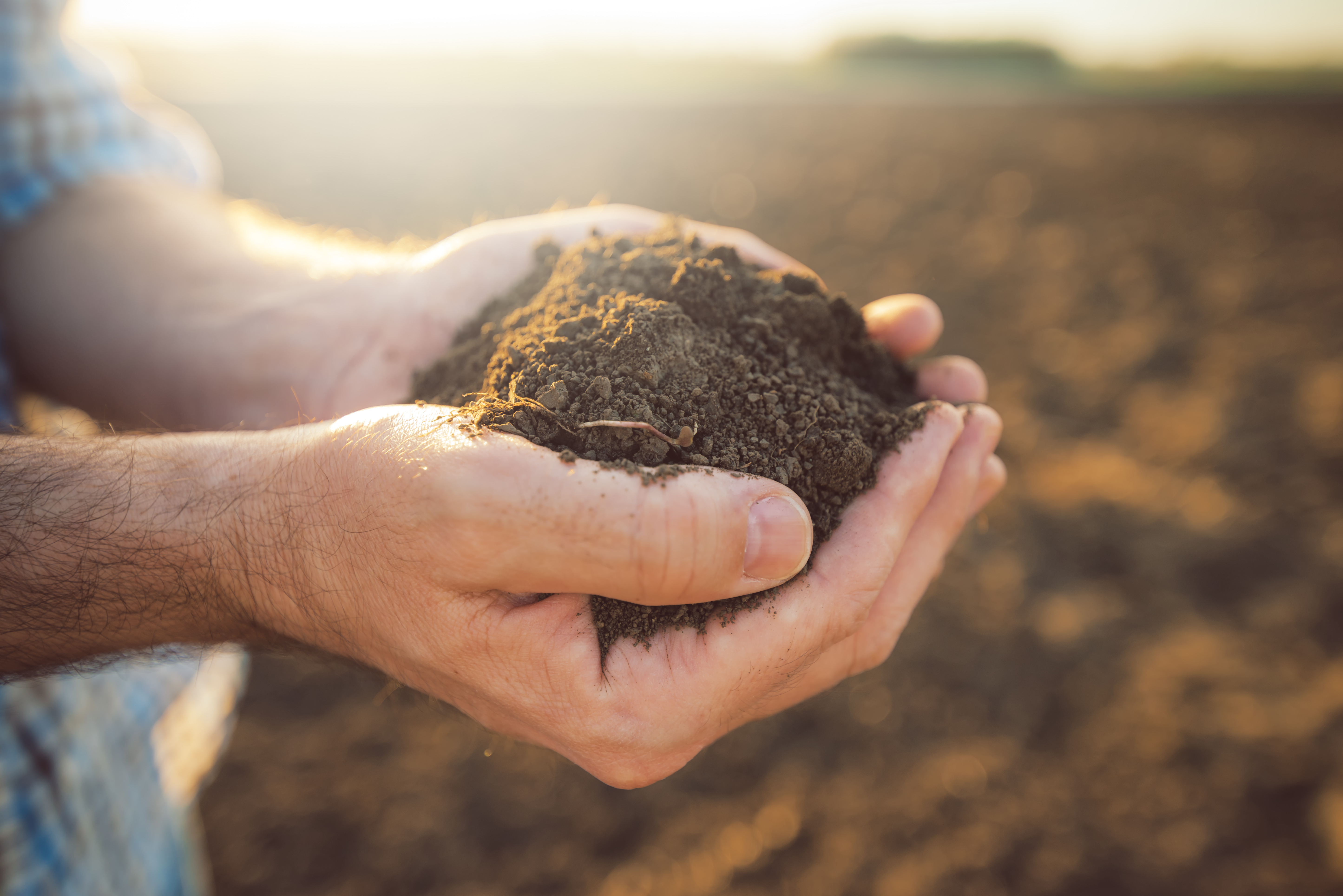 man holding a small pile of soil in his hands