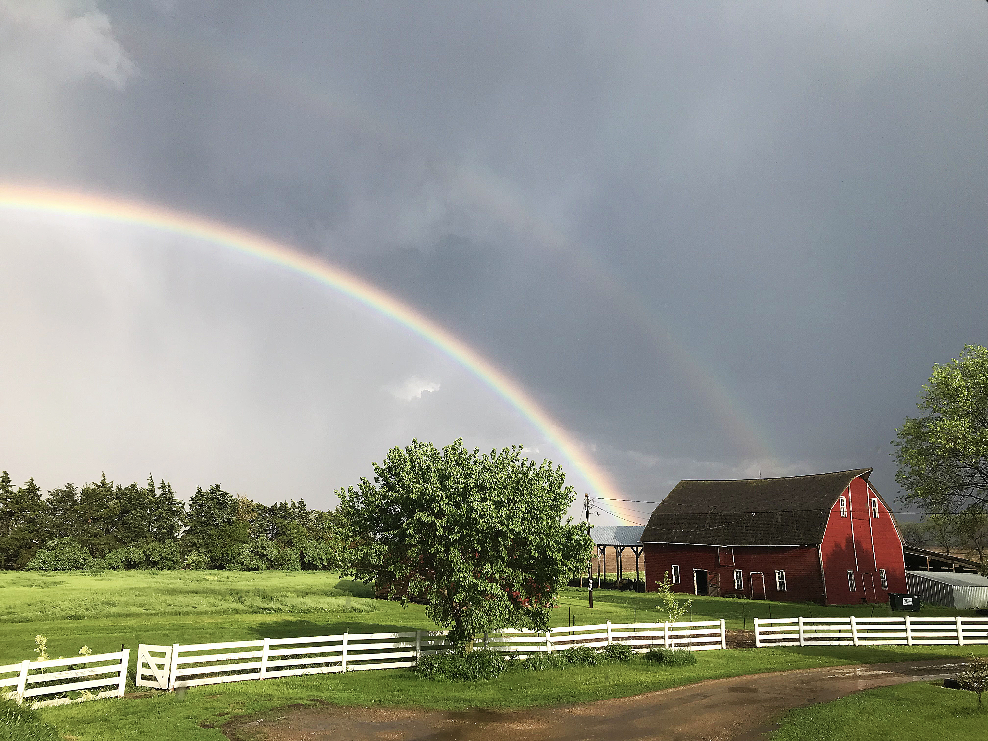 rainbow over green pasture with a red barn