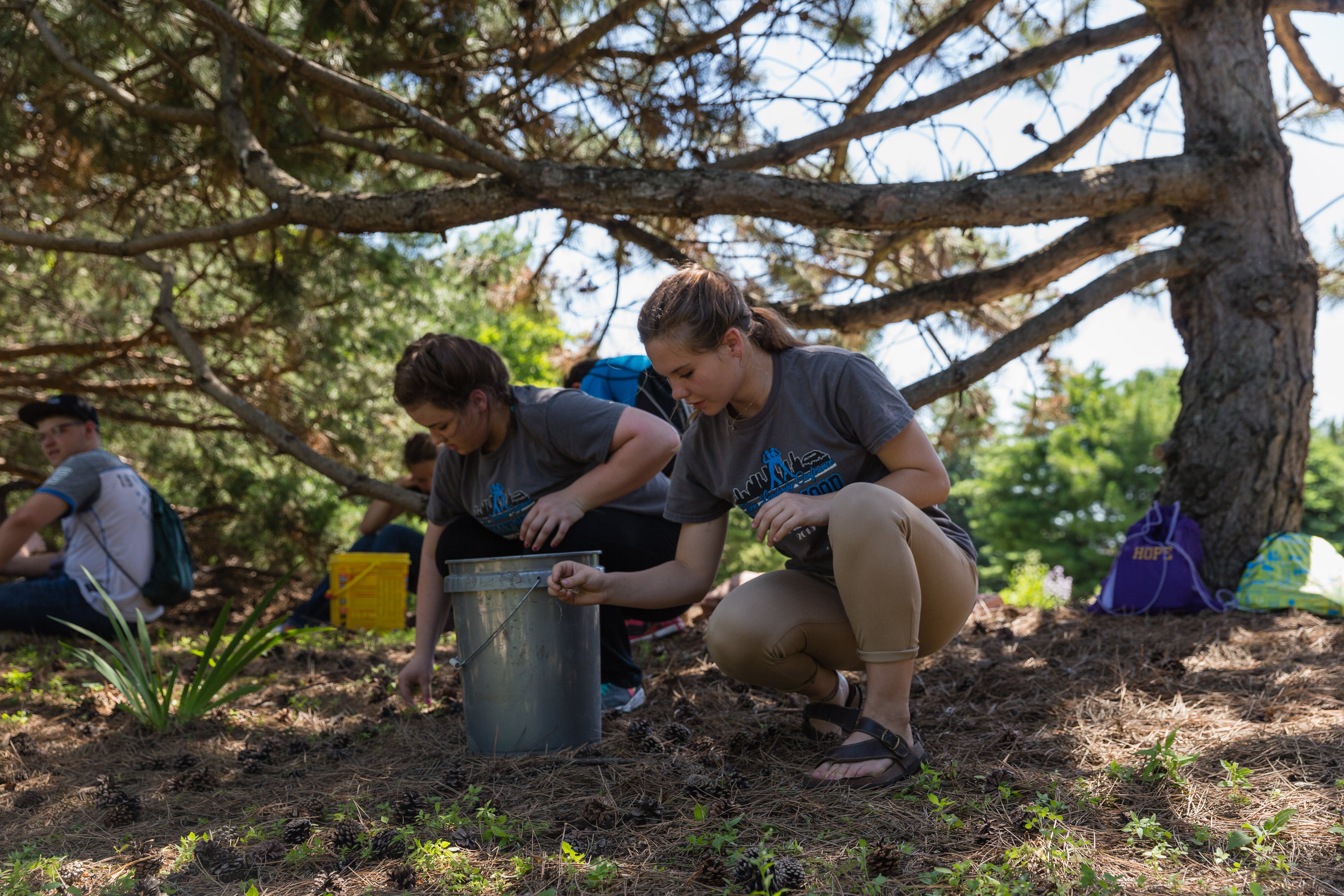 4-H youth picking weeds near trees