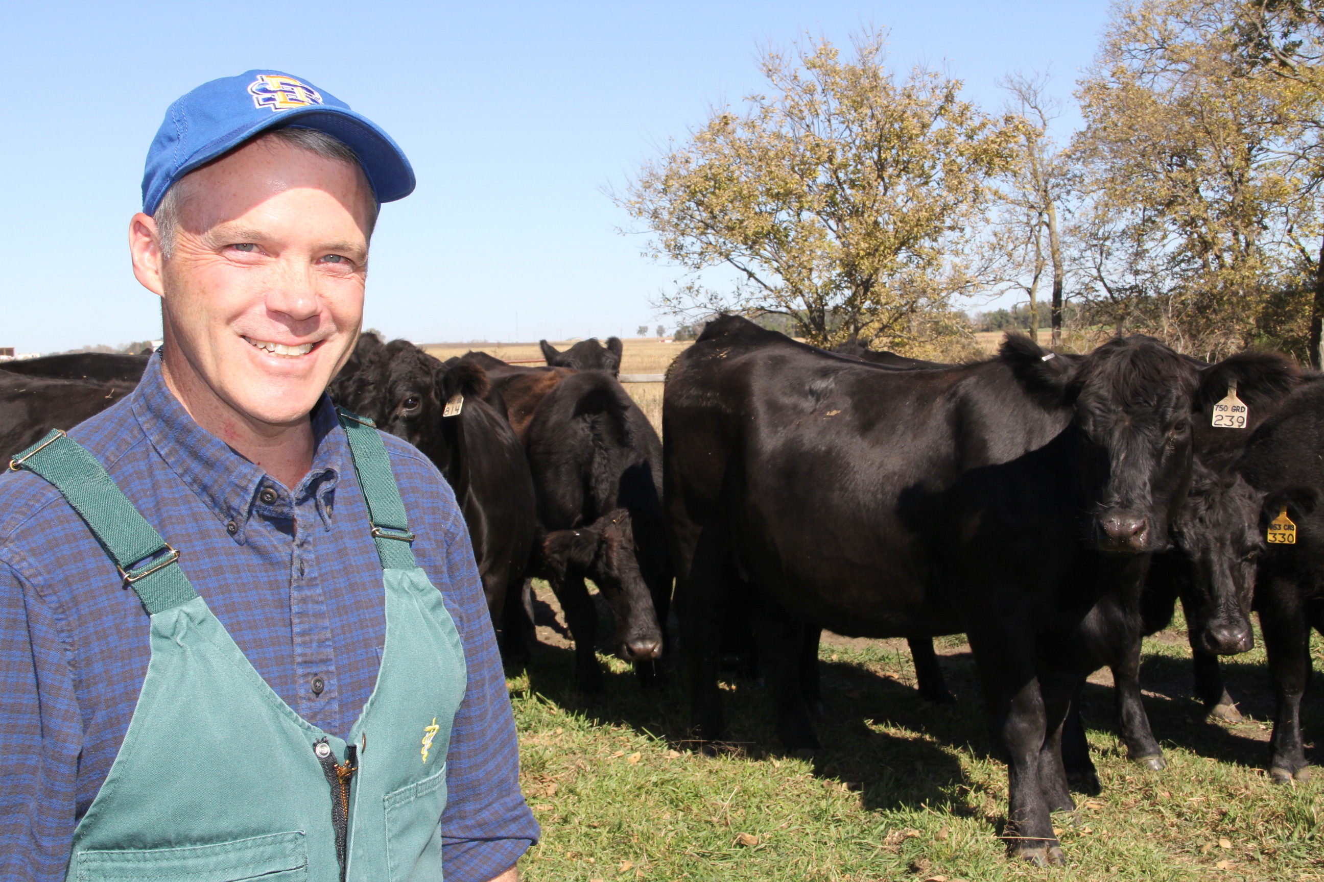Russ Daly standing in front of a herd of cattle