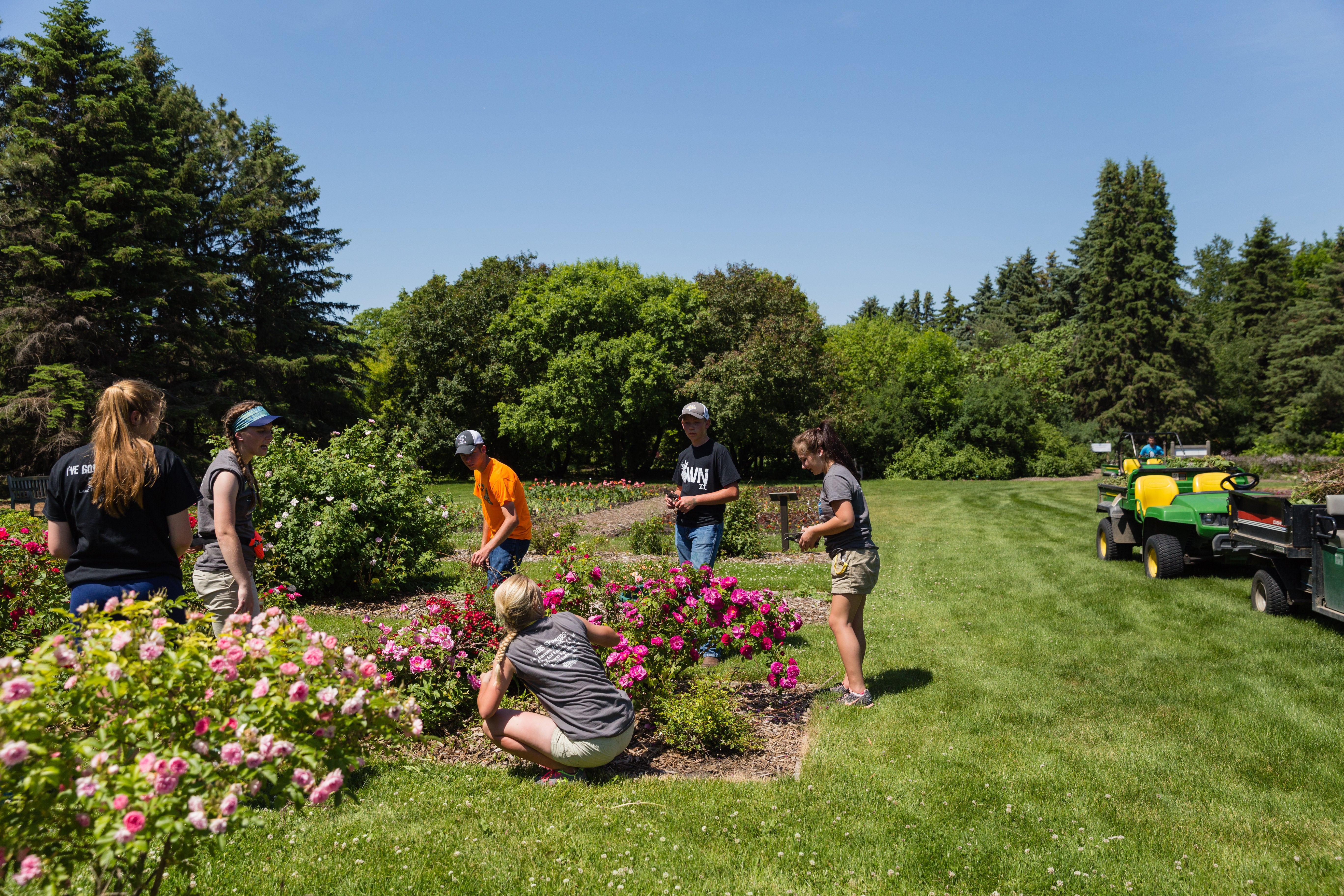 99-4-H-Environment-Outdoors garden, teens gardening