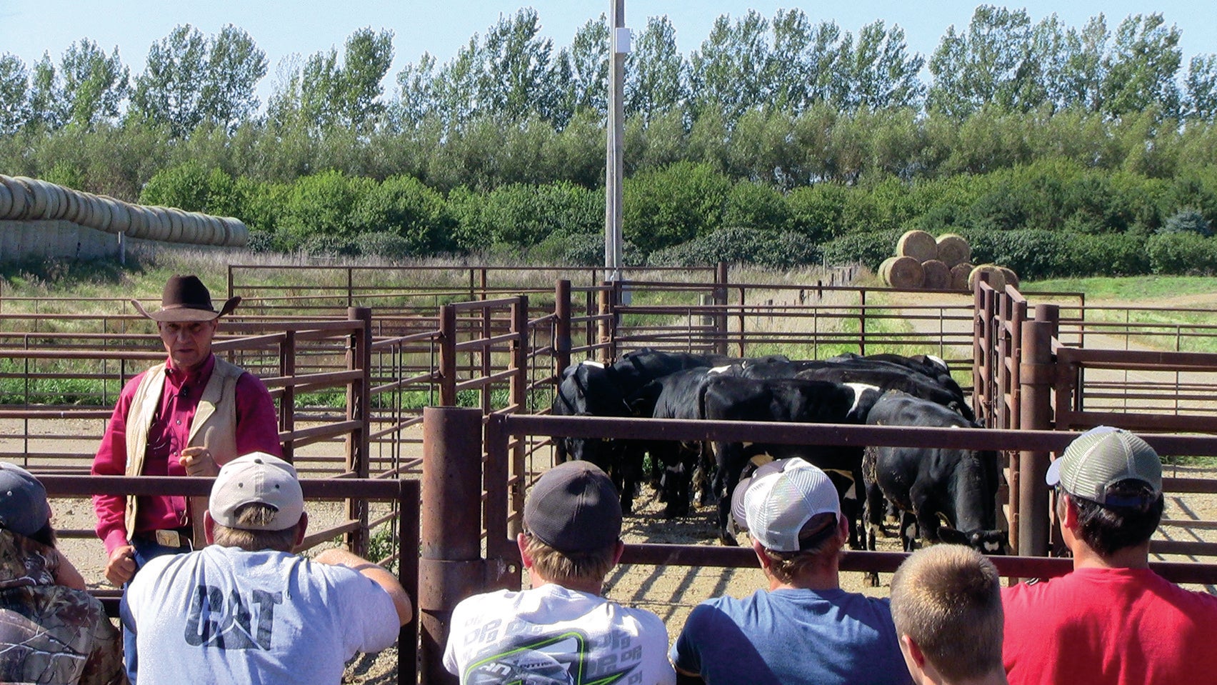 Group learing about animal welfare