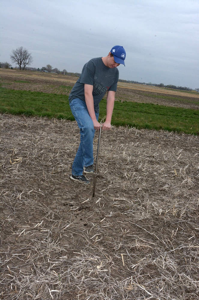 A young man driving a soil sampling tool into a soybean field