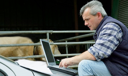 A rancher sitting at a laptop near a cattle pen.