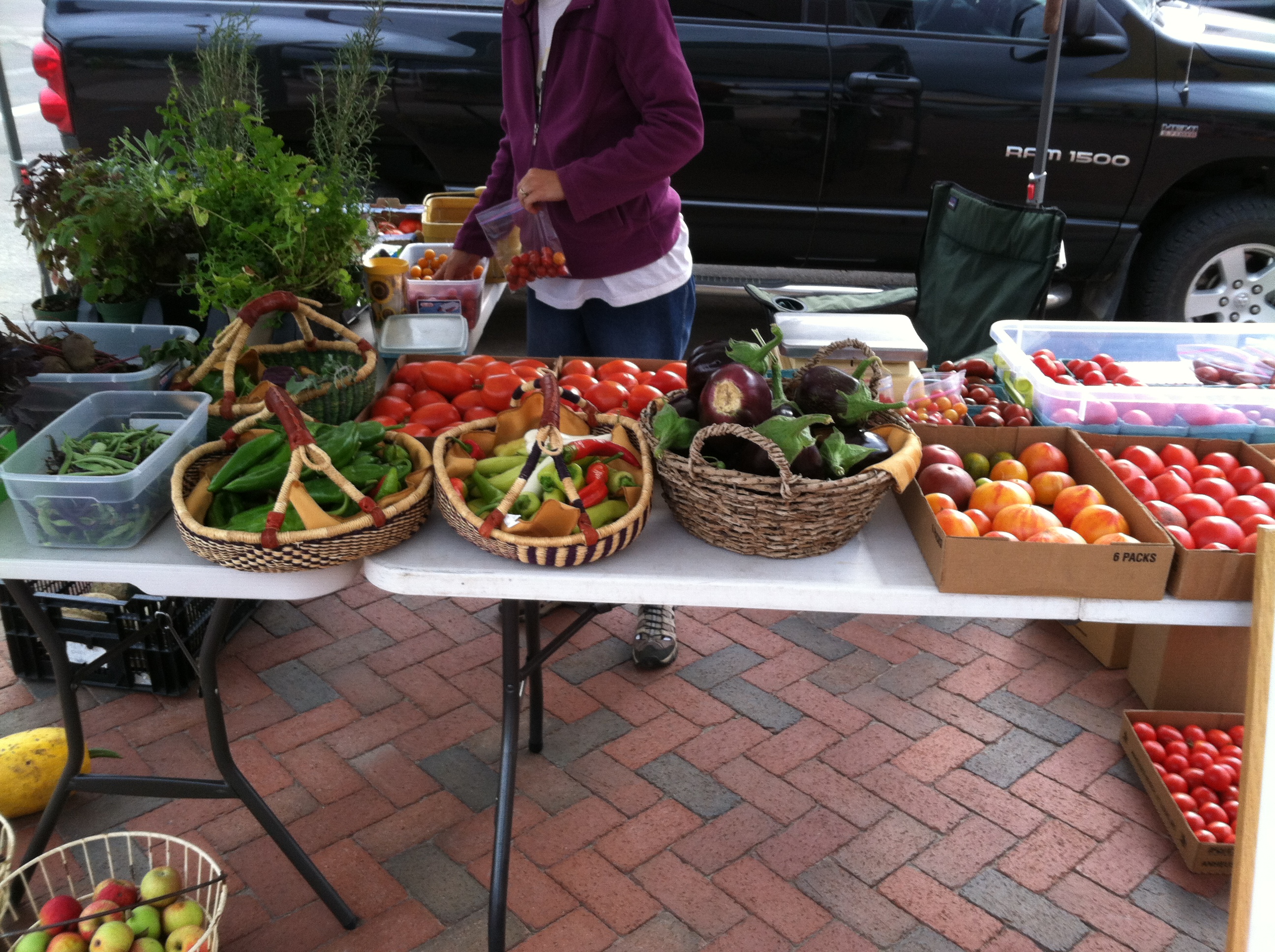 A table display of vegetables at a farmer's market.