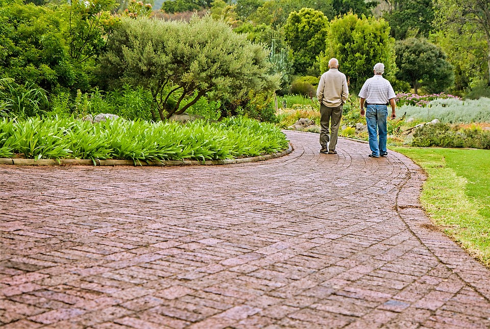 Two older men walking in a garden.