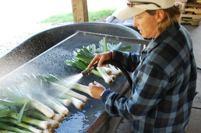 A woman rinsing vegetables off in an outdoor sink.