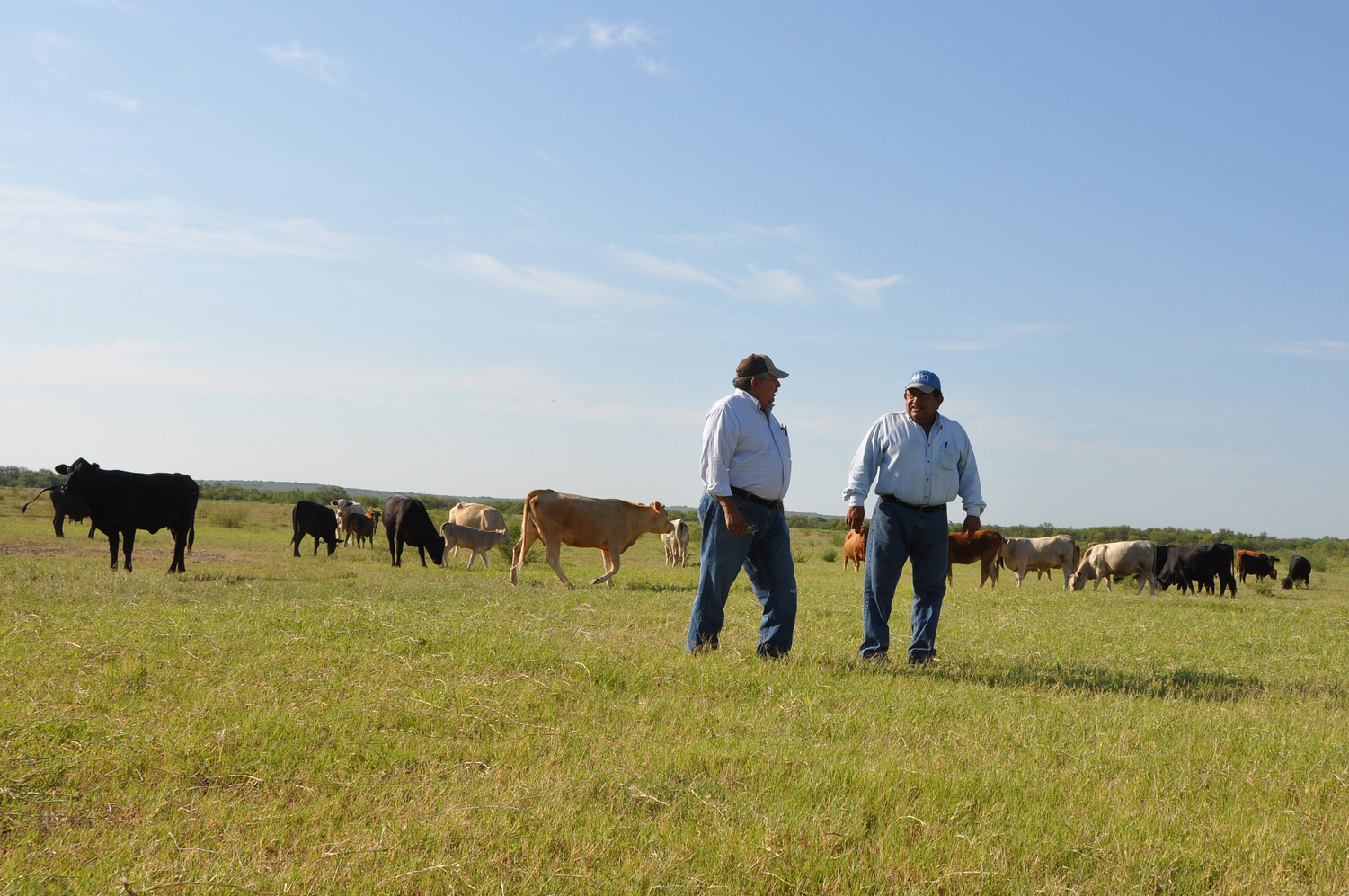 two producers in a pasture with a cowherd