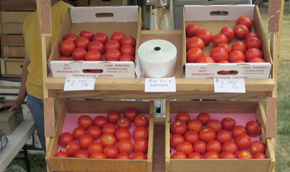 an image of fresh tomatoes