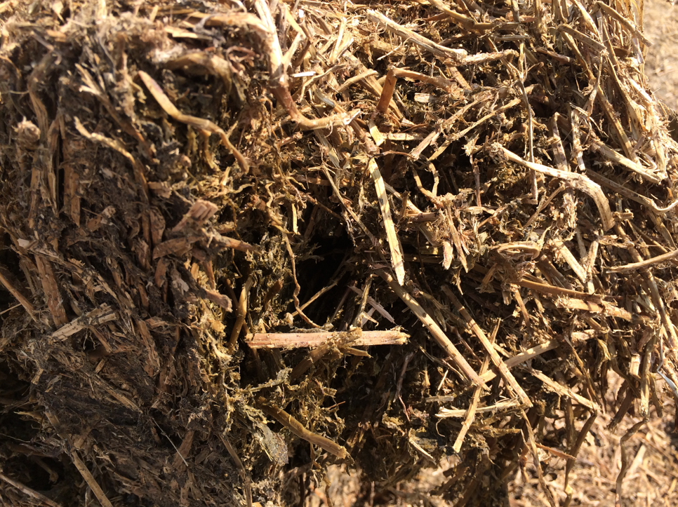 Hay with a brown, carmelized color.