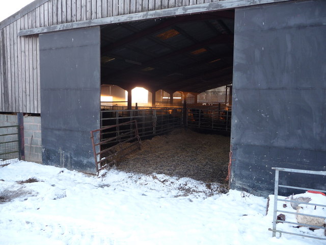 A calving barn.