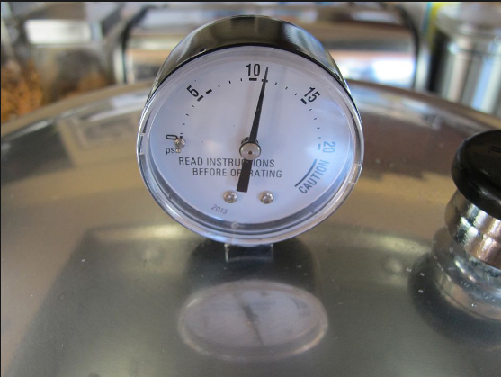 A dial pressure canner gauge