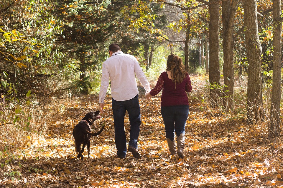 a couple walking with their dog in the woods