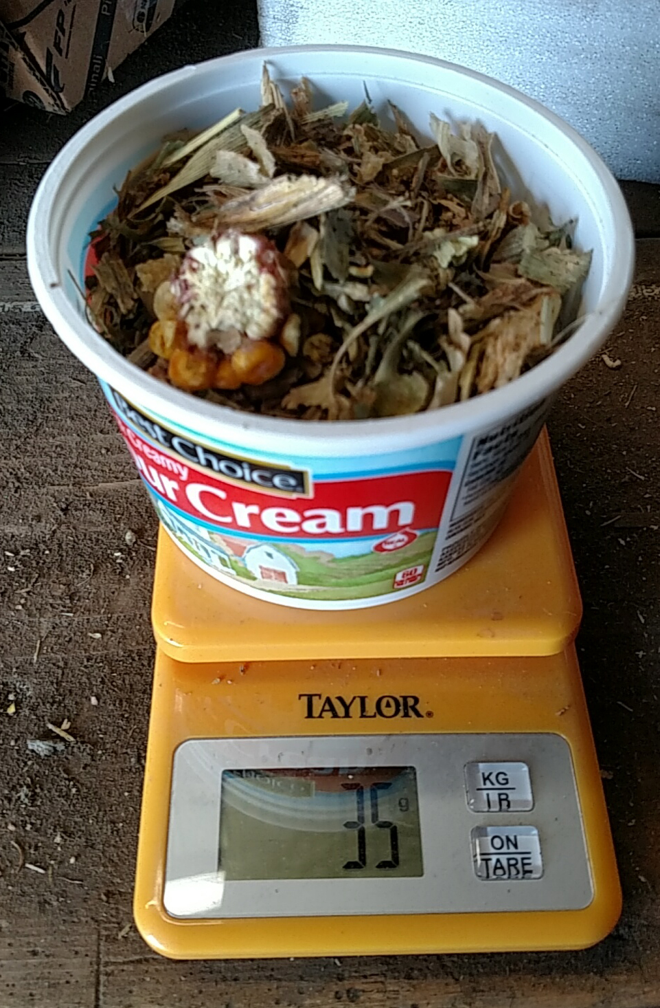 digital scale with plastic container filled with silage on top