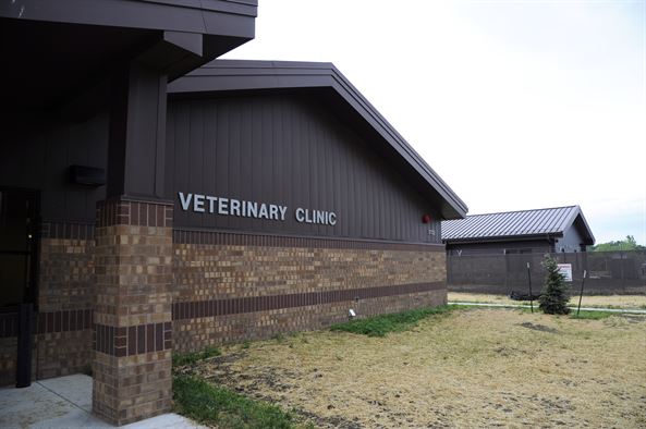 Outside of a veterinary clinic.