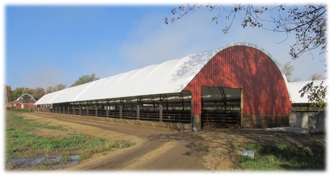 long, red, beef cattle feeding barn