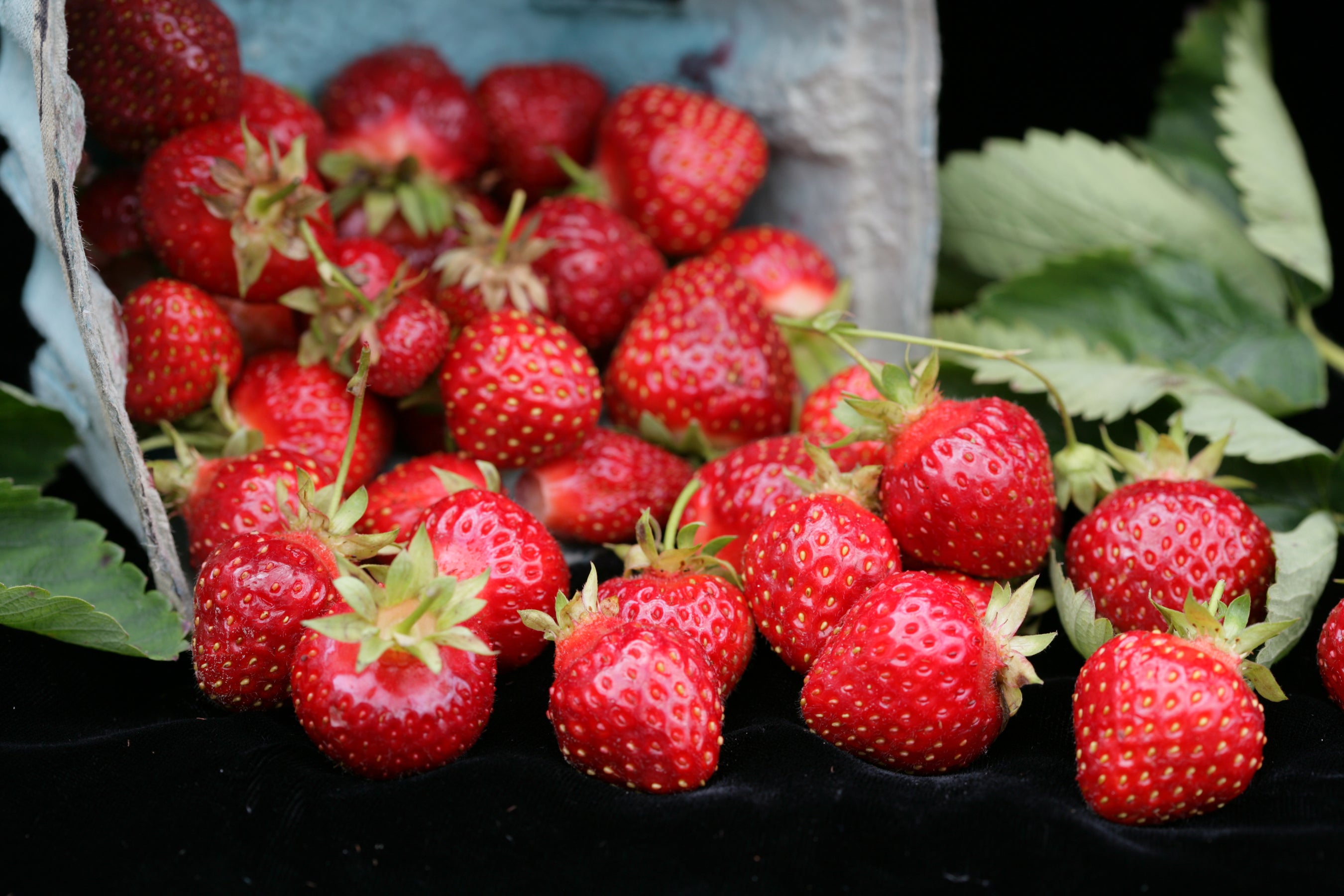 Fresh strawberries in a carton