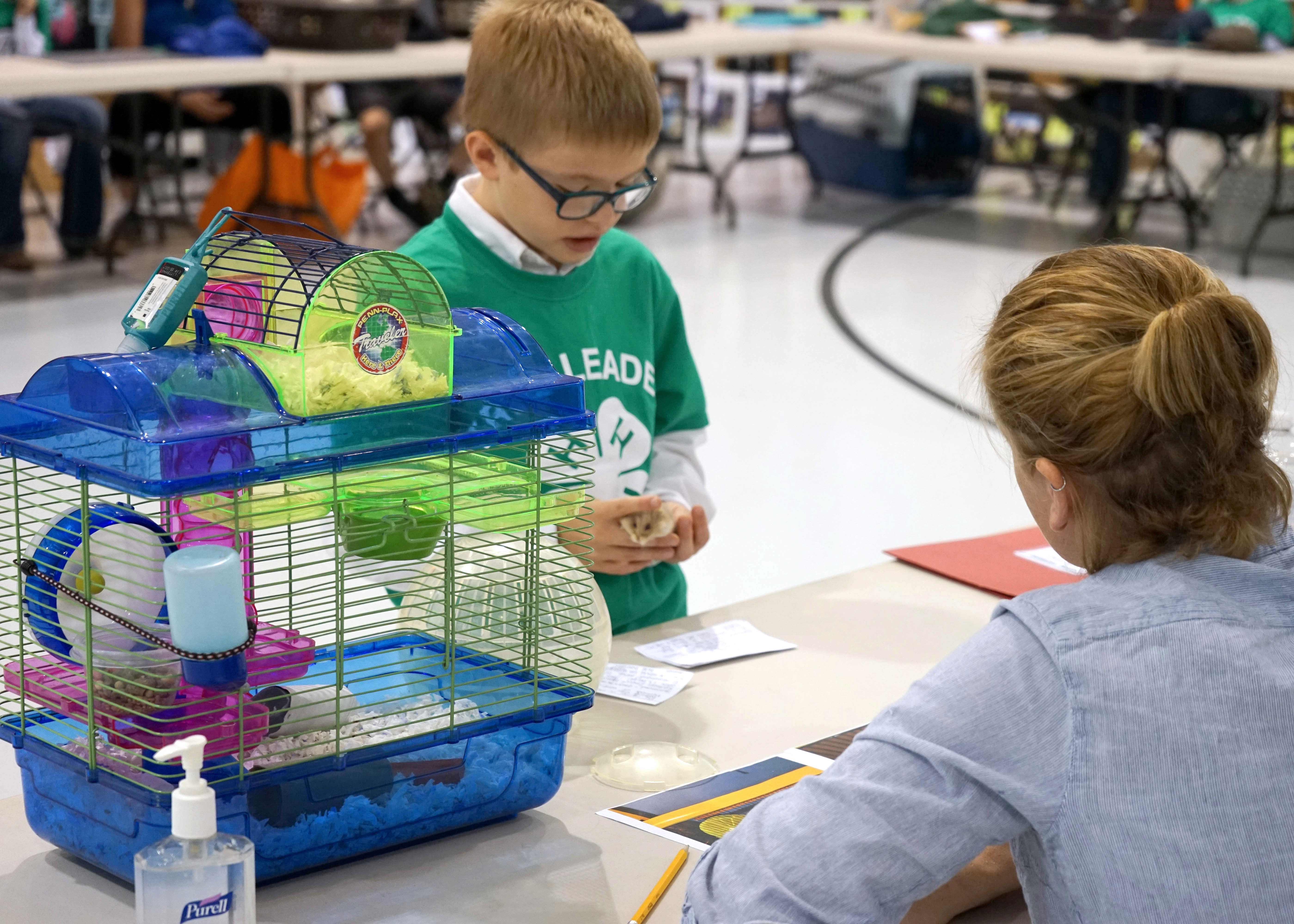 a young male 4-H youth showing a hamster to a judge