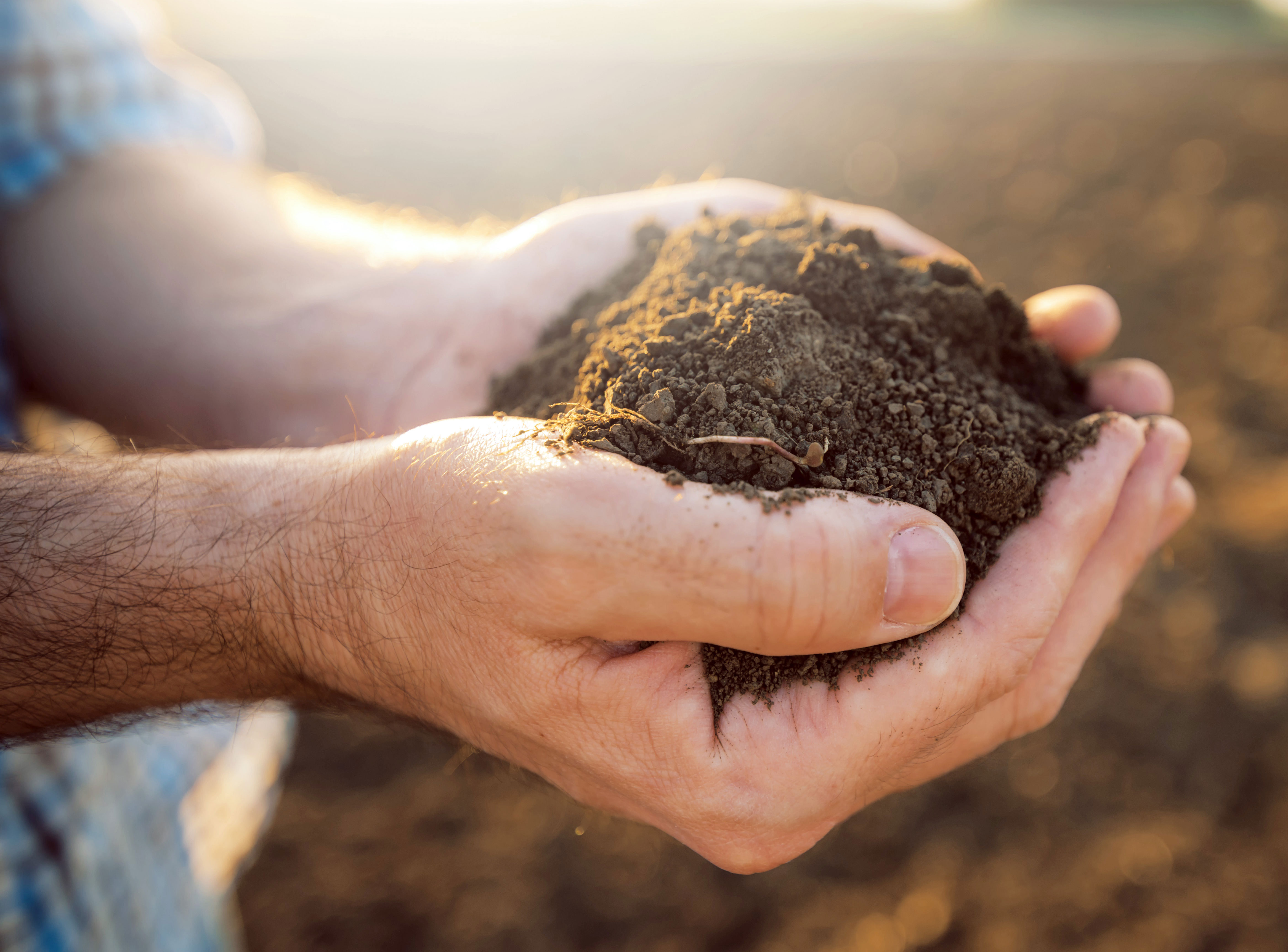 pair of hands holding soil