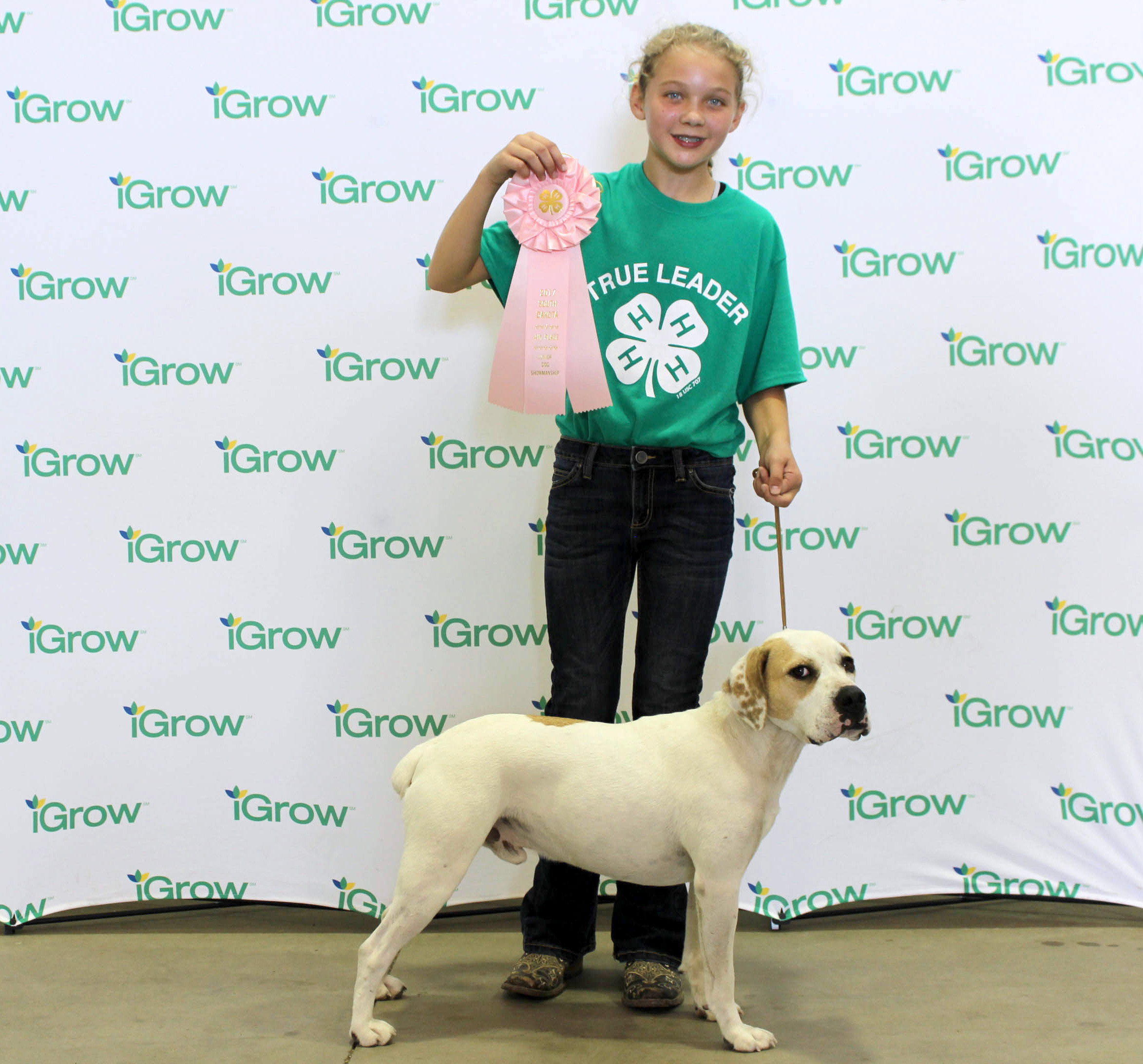 female 4-H youth with her white dog and their pink rosette