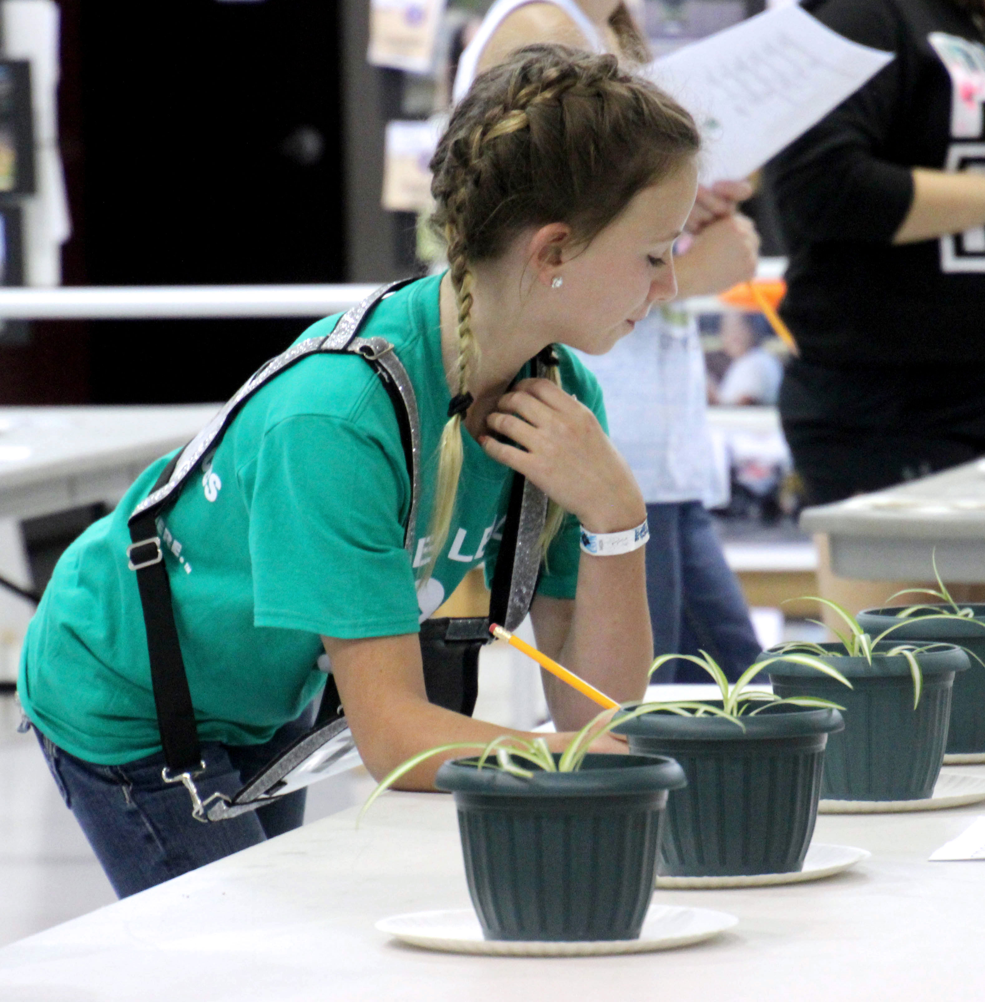 female 4-H youth inspecting a set of four potted plants on a table