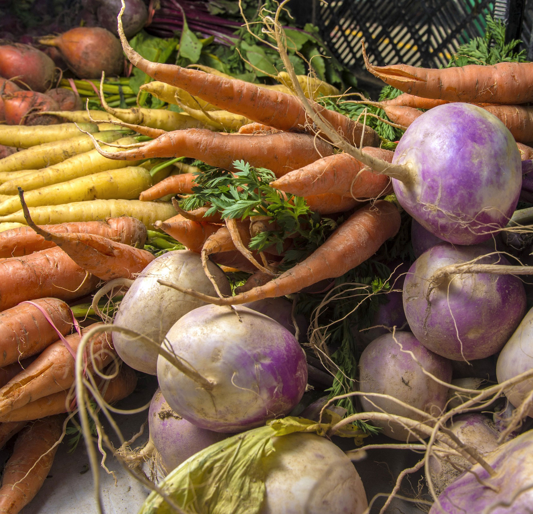 an assortment of fresh garden vegetables