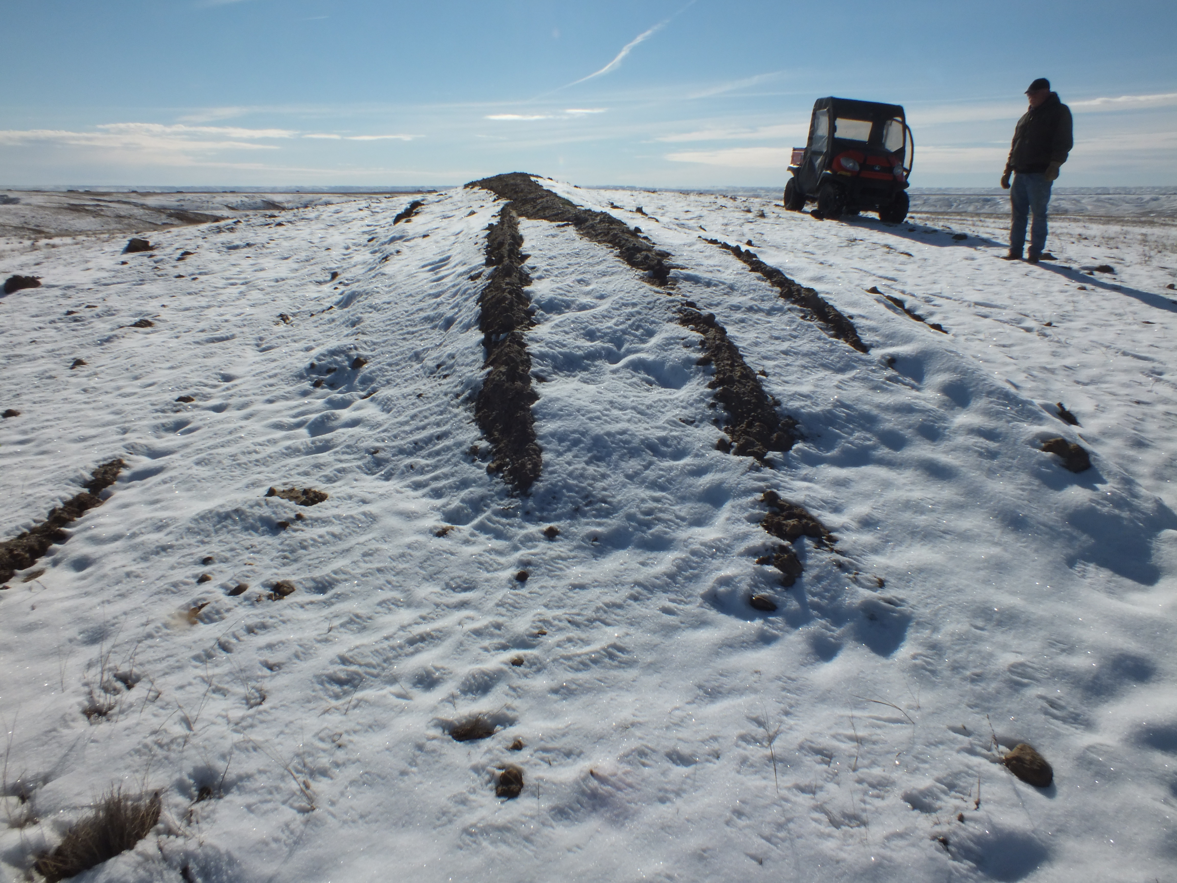 man inspecting livestock covered livestock burial pits following a winter storm