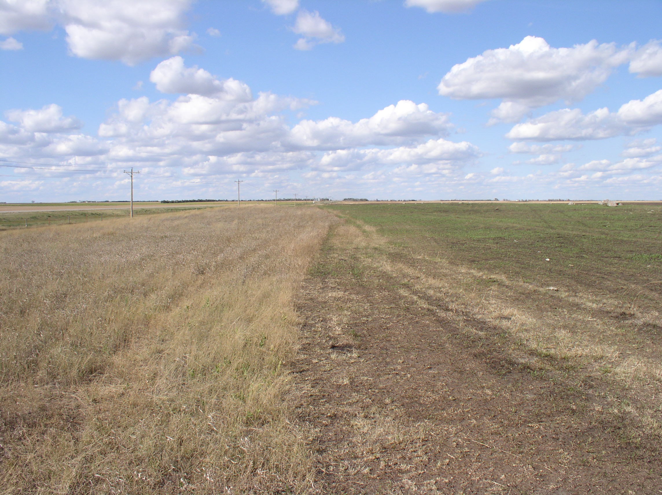 grassland recovering from wildfire. grass on the right side is greening up.