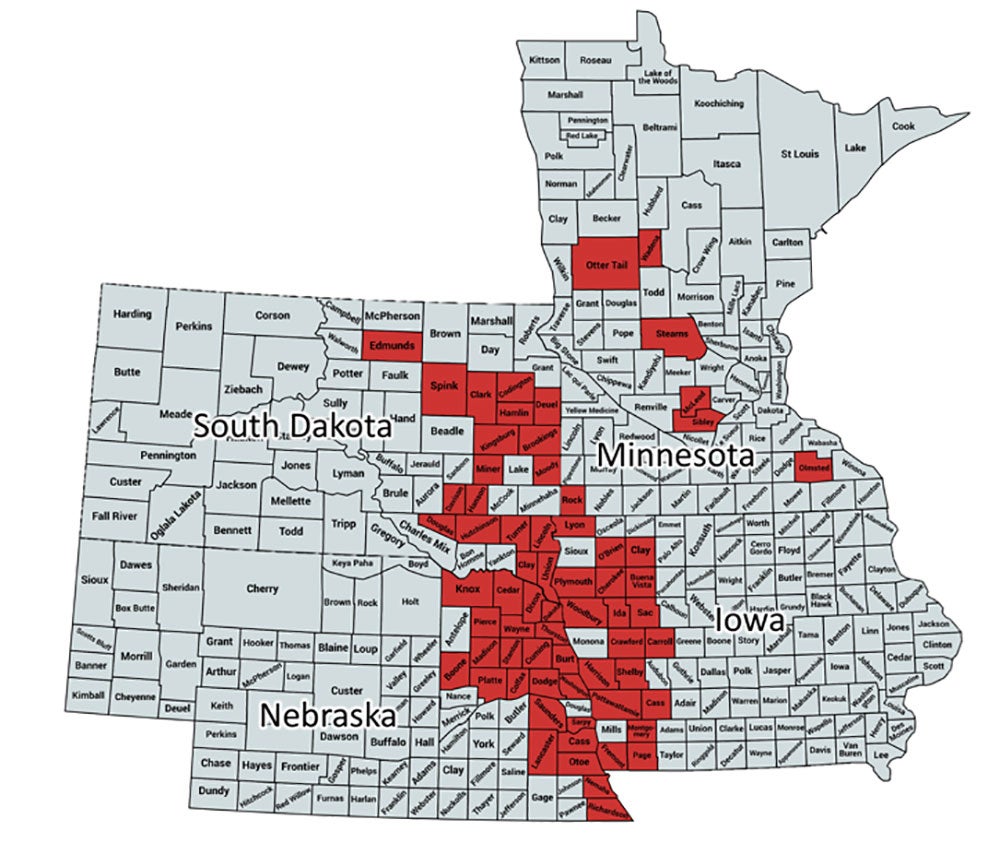 Gray map of South Dakota, Nebraska, Minnesota and Iowa. Counties with soybean gall midge confirmations are colored in red. The majority of the counties are along the I-29 corridor.