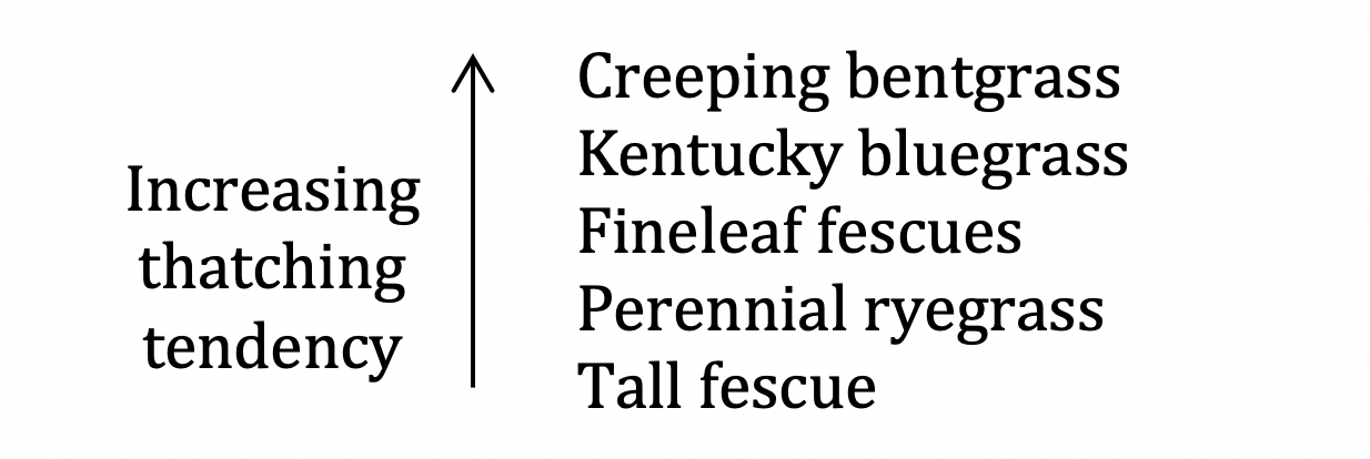 Two columns of text with an upward pointing arrow between them. Left column text: Increasing thatching tendency. Right text from top: Creeping bentgrass, Kentucky bluegrass, Fineleaf fescues, Perennial ryegrass, Tall fescue