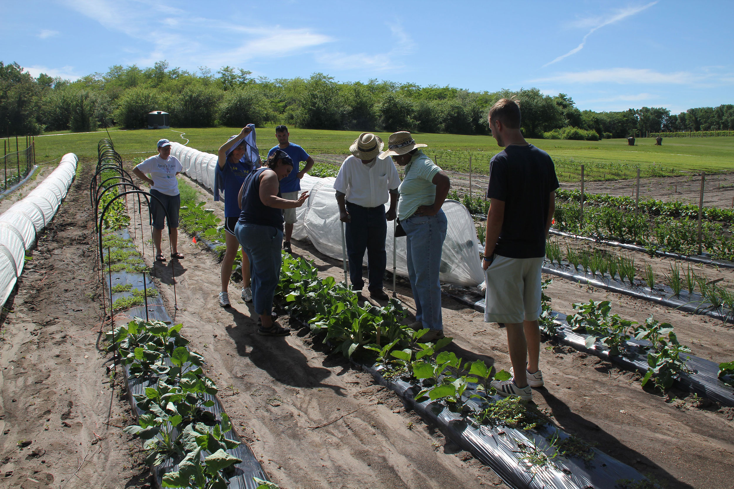 group of people viewing a demonstration in a CSA garden