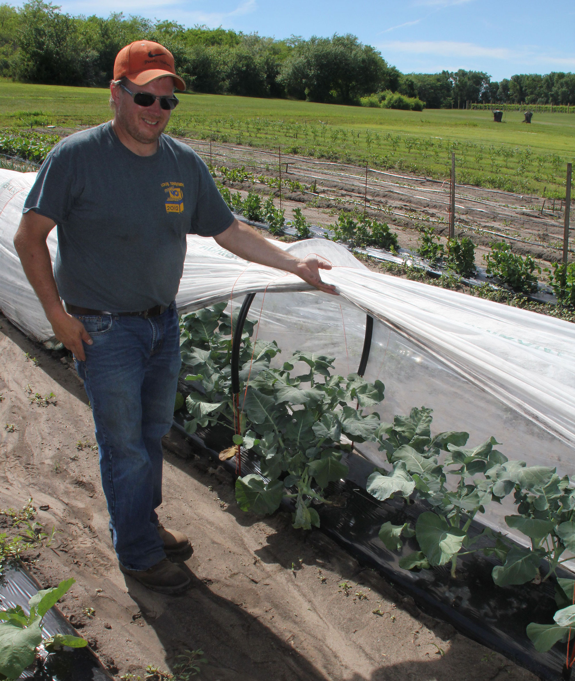 man showing a row of plants protected by a plastic cover