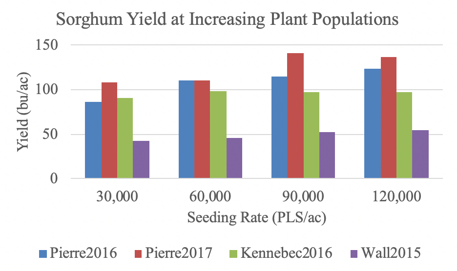 Yield and seeding rate comparison for Pierre, Kennebec and Wall, highest yields recorded with 90,000 seeding rate in Pierre in 2017