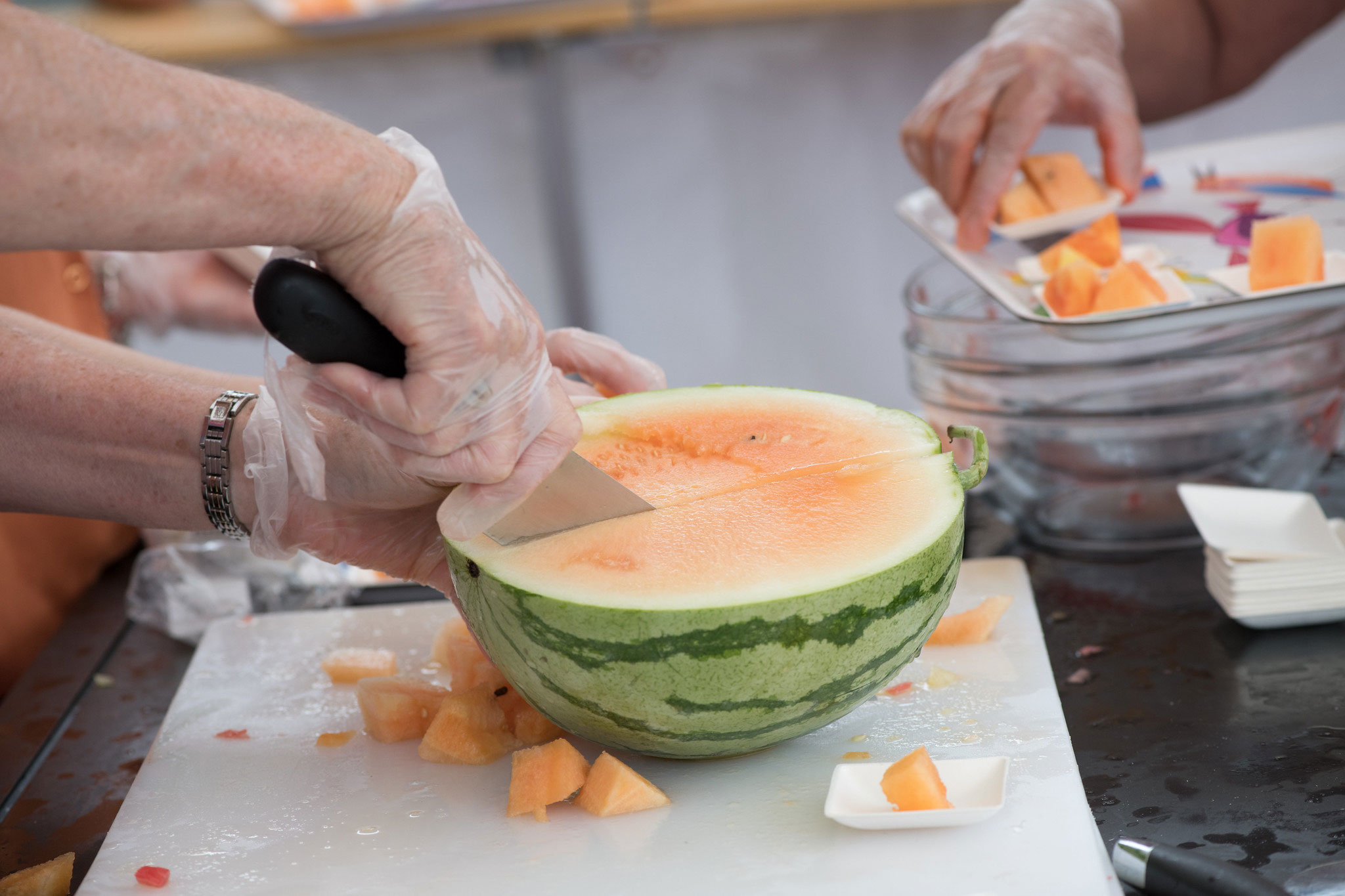 Hands wearing plastic gloves cutting watermelon samples on a white cutting board.