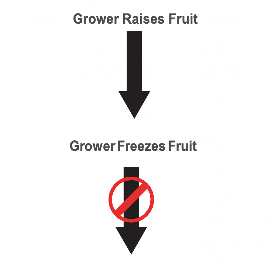 Two black arrows stacked on top of one another and pointing downward. The top arrow has the text &quot;Grower Raises Fruit&quot; above it. The bottom arrow has the text &quot;Grower Freezes Fruit&quot; above it and a red cross over the arrow.