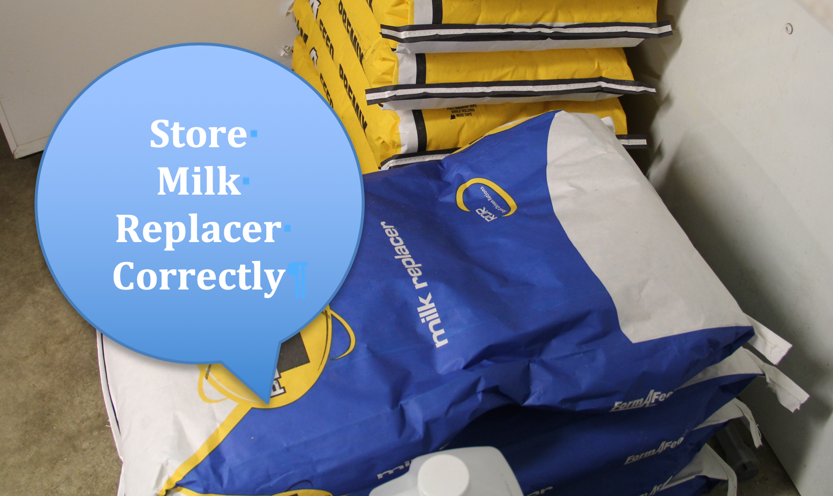 Milk Replacer being stored poorly on the floor in a facility. Courtesy: Tracey Erickson