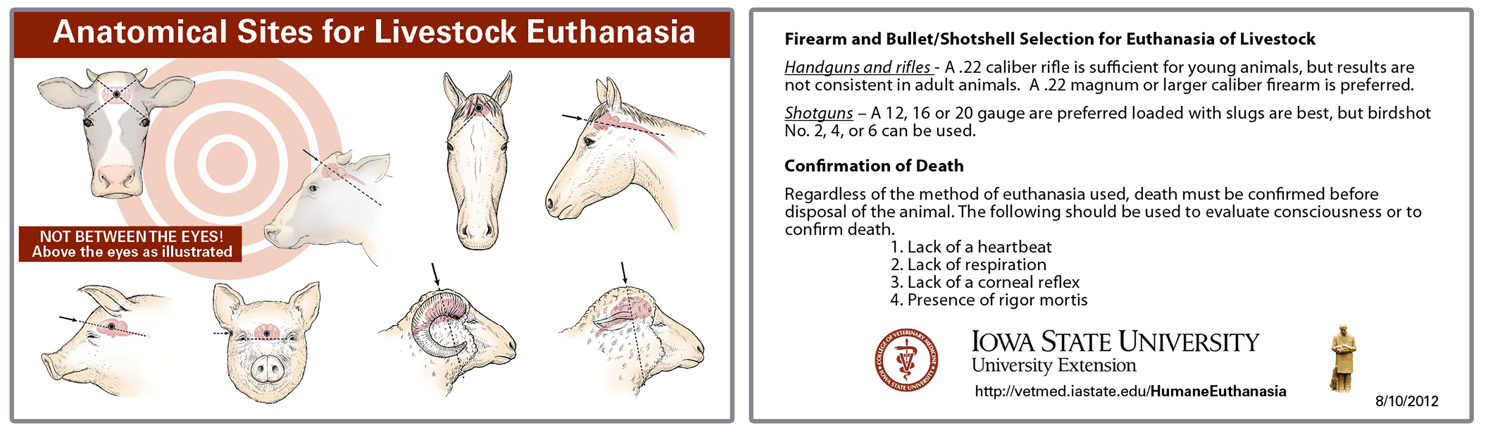 The front and backside of a wallet-sized authanasia card. The front side has illustrations of the proper anatomical sites for livestock euthanasia. The back side has a set of proper firearms and bullet shotshells to use along with steps for confirmation of death.