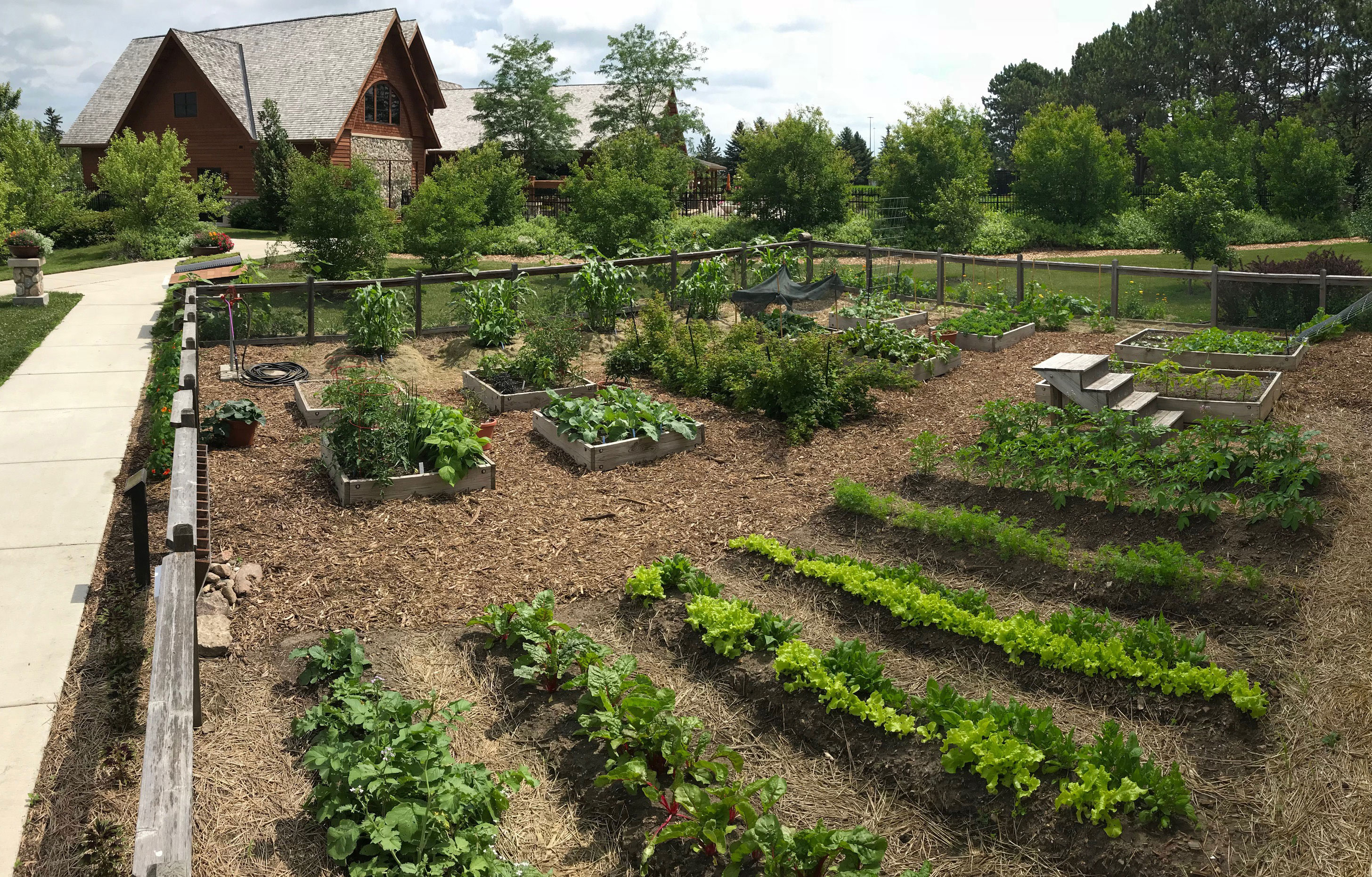A group of raised ground beds with crops growing in them at McCrory Gardens in Brookings, South Dakota.
