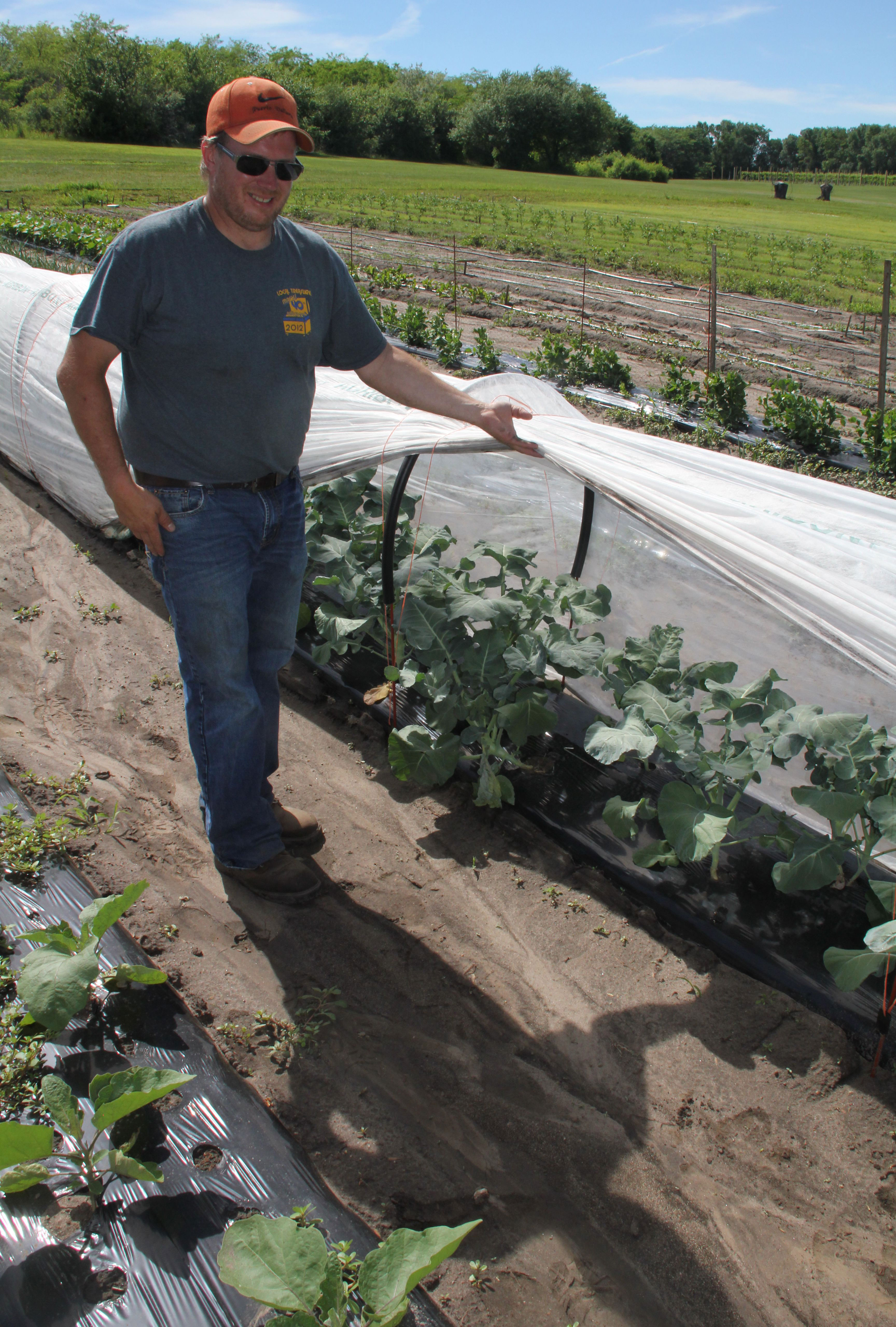 A man demonstrating a plastic, floating row cover above a row of garden plantings.