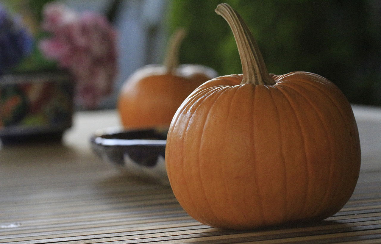 To small pumpkins sitting on a kitchen counter.