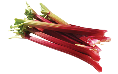 A small bunch of red rhubarb stalks.