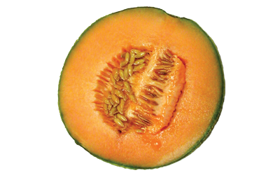 A cantaloupe split in half revealing orange, fleshy fruit inside.