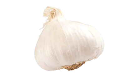 A white head of garlic.