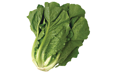 A bunch of leafy green lettuce.