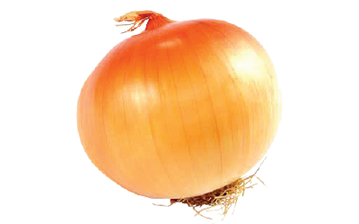 A yellow onion bulb.